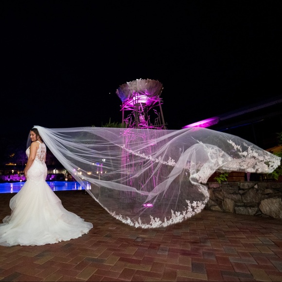 Selling gorgeous veil from boutique de voile. - Picture 2 of 5